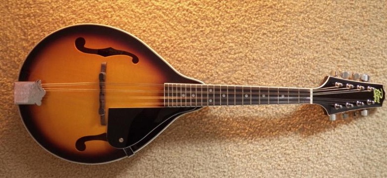 How bad are cheap Rogue mandolins?